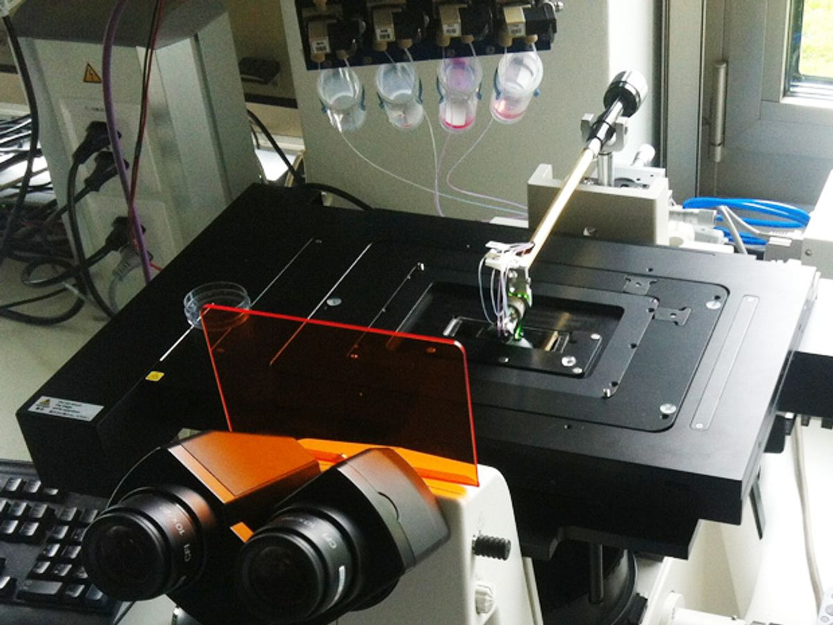 Hospital To Use Microfluid Prototype For Diagnosing Tumors