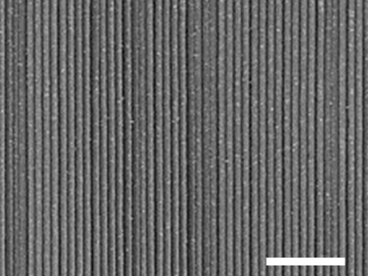 New Trick Produces Whole Wafers of Perfectly Aligned Nanowires