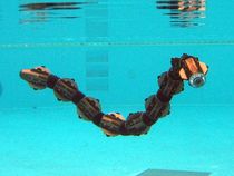 HiBot Demos New Amphibious Snake Robot