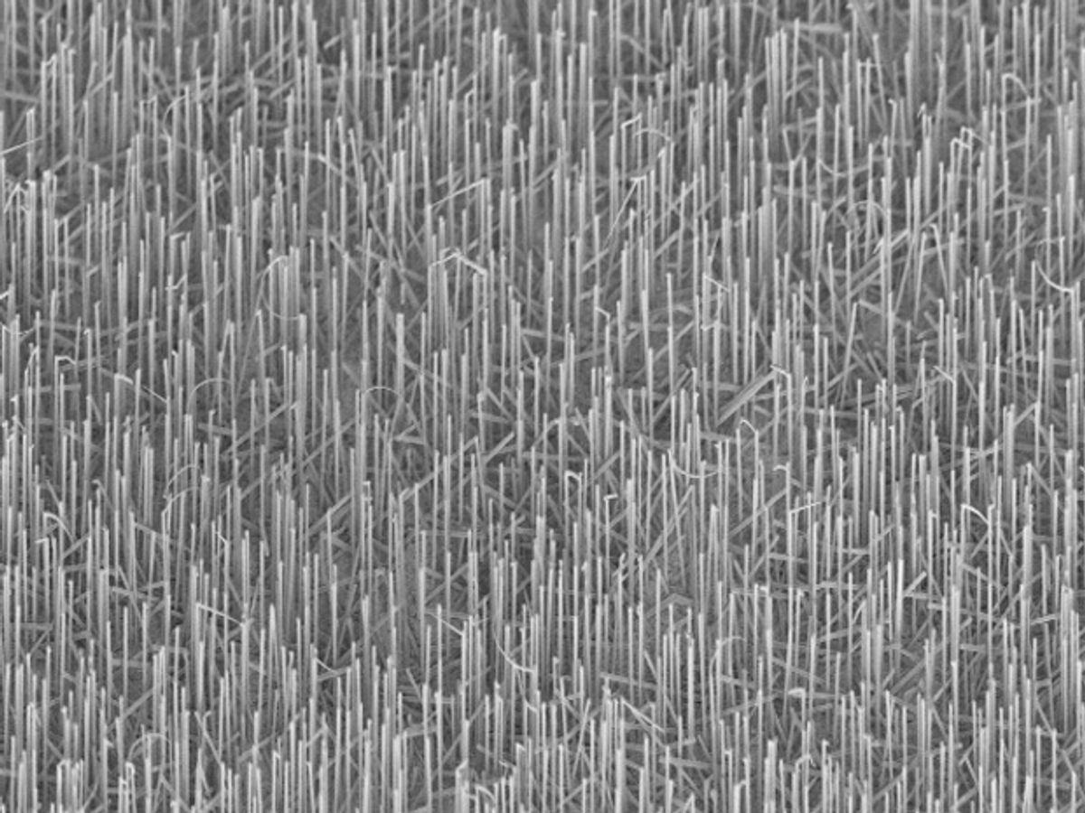 Dueling Nanowire Lasers Promise Big Changes to Optoelectronics