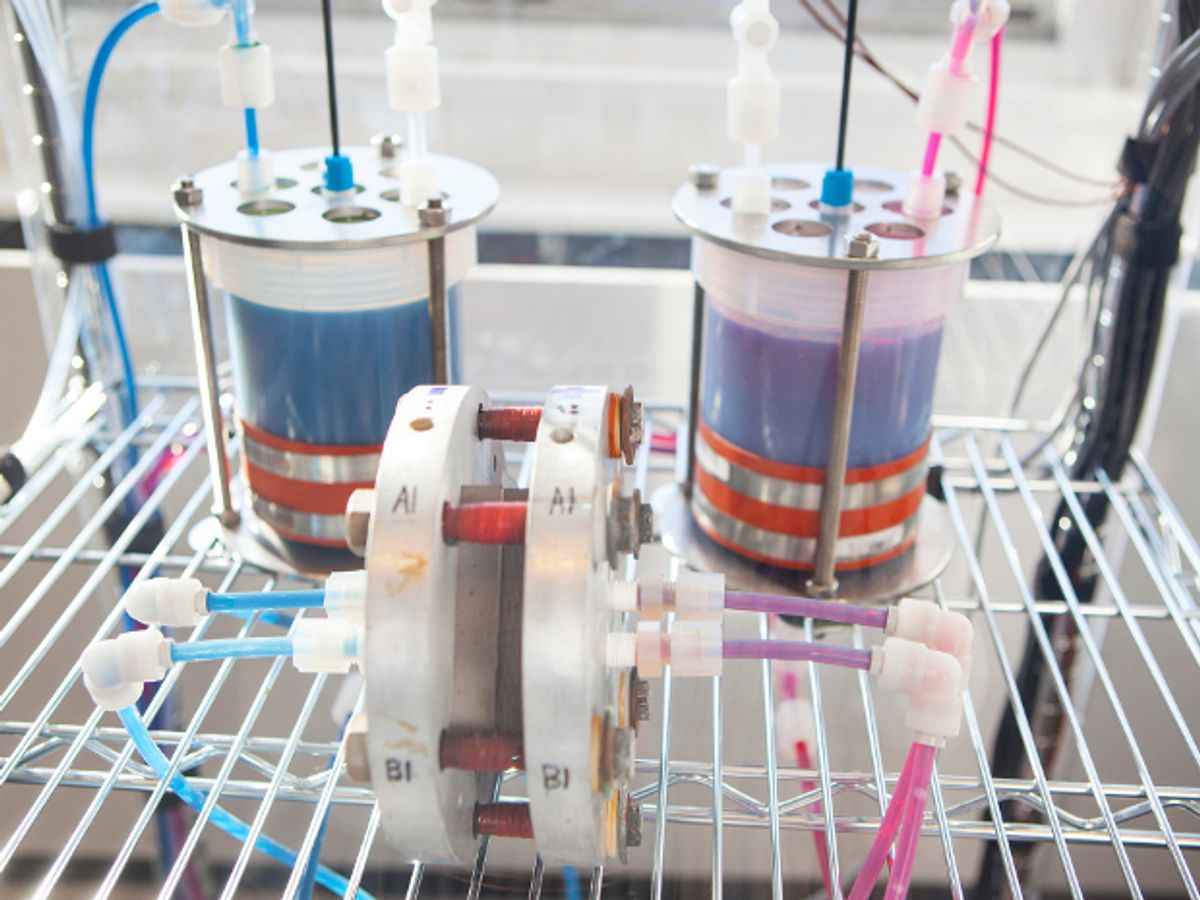 "Rhubarb" Flow Battery Could Bolster Renewables Storage
