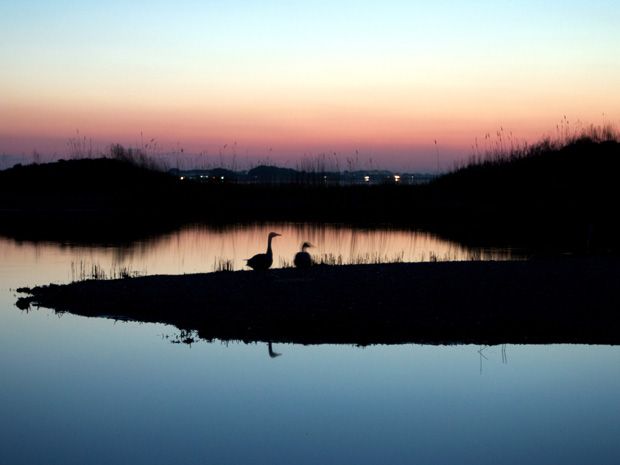 China’s Water Scarcity Aggravated by Shrinking Wetlands