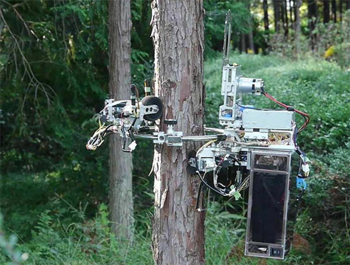 No Tree Is Safe From This Chainsaw-Wielding Robot