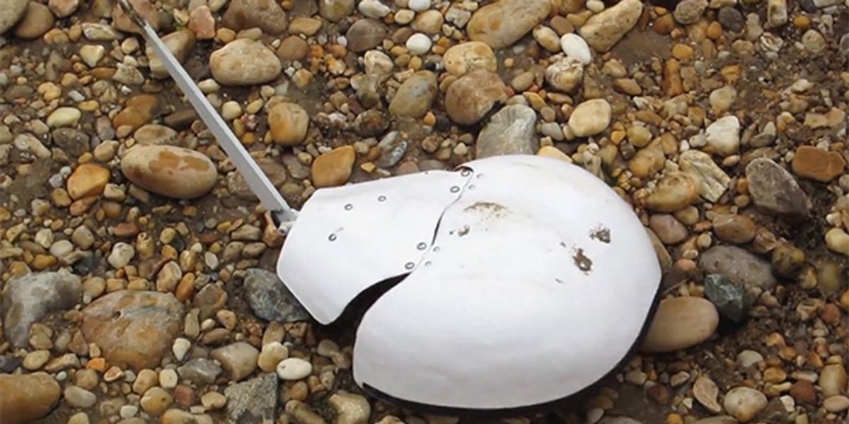 Robotic Clams and Horseshoe Crabs Take on Surf, Sand, and Mud