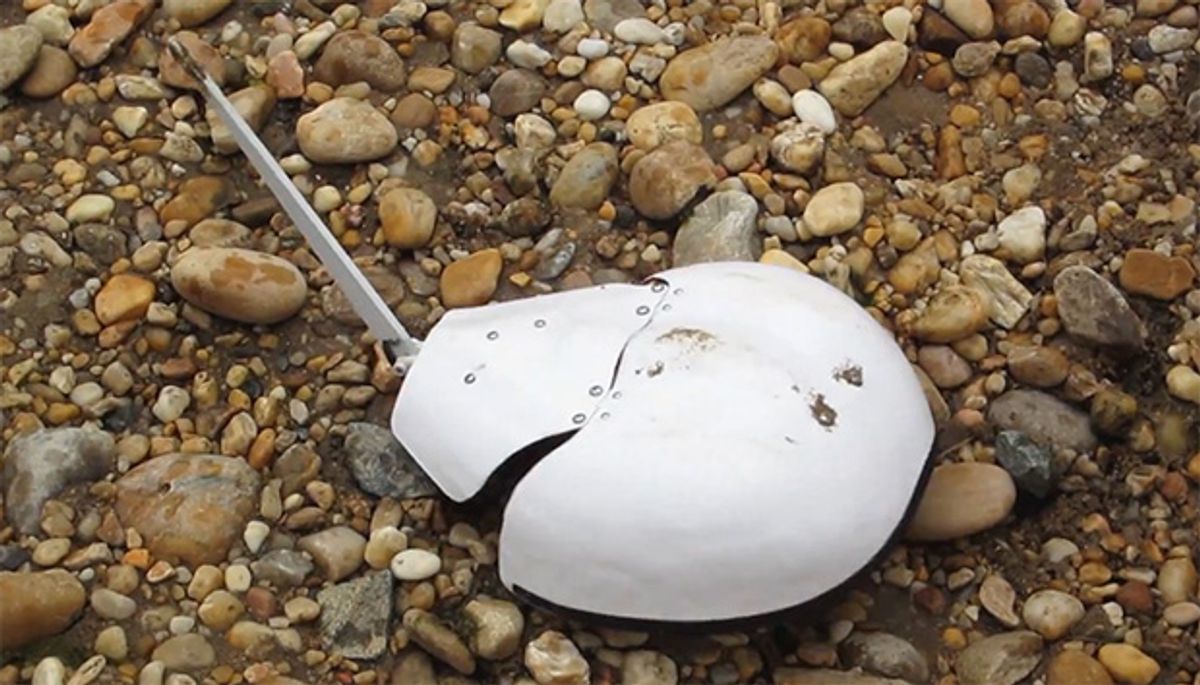 Robotic Clams and Horseshoe Crabs Take on Surf, Sand, and Mud