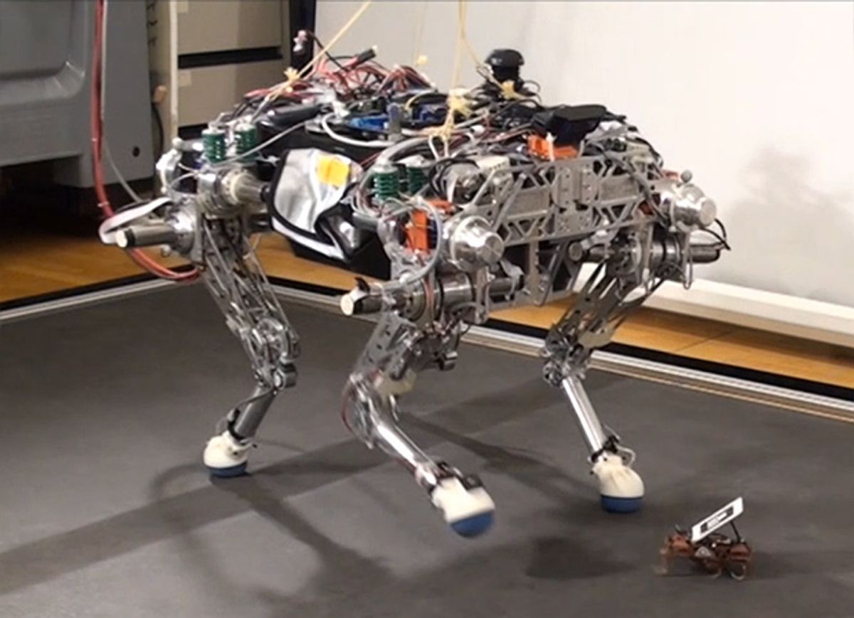 Big and Little Legged Robots Team Up to Conquer Terrain
