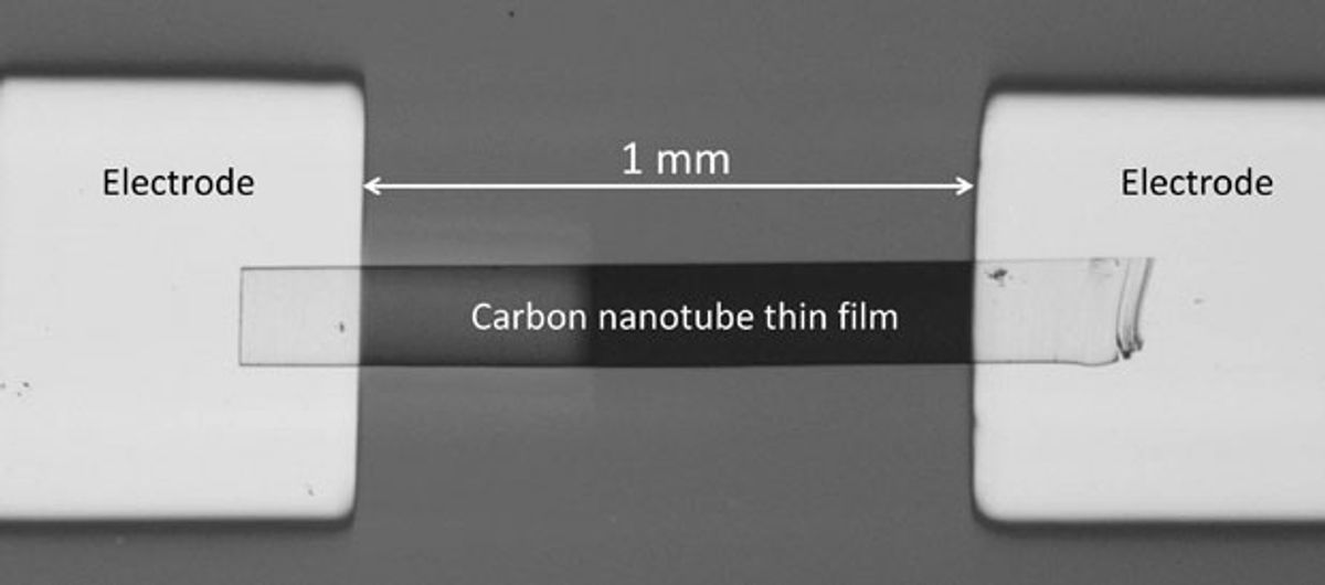 Nanotubes Capture Terahertz Radiation