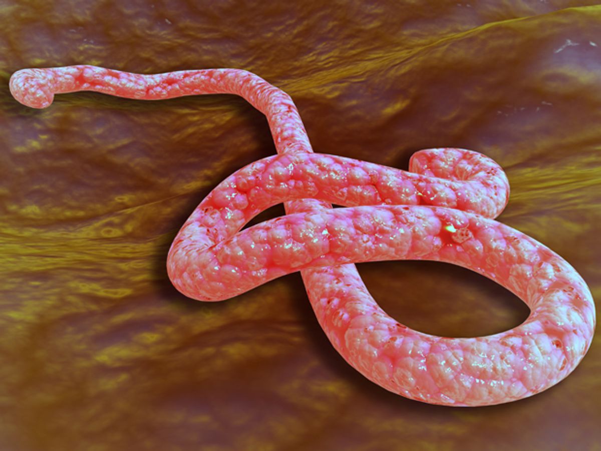 A Research Team Looks to Nanotechnology to Fight Ebola Virus