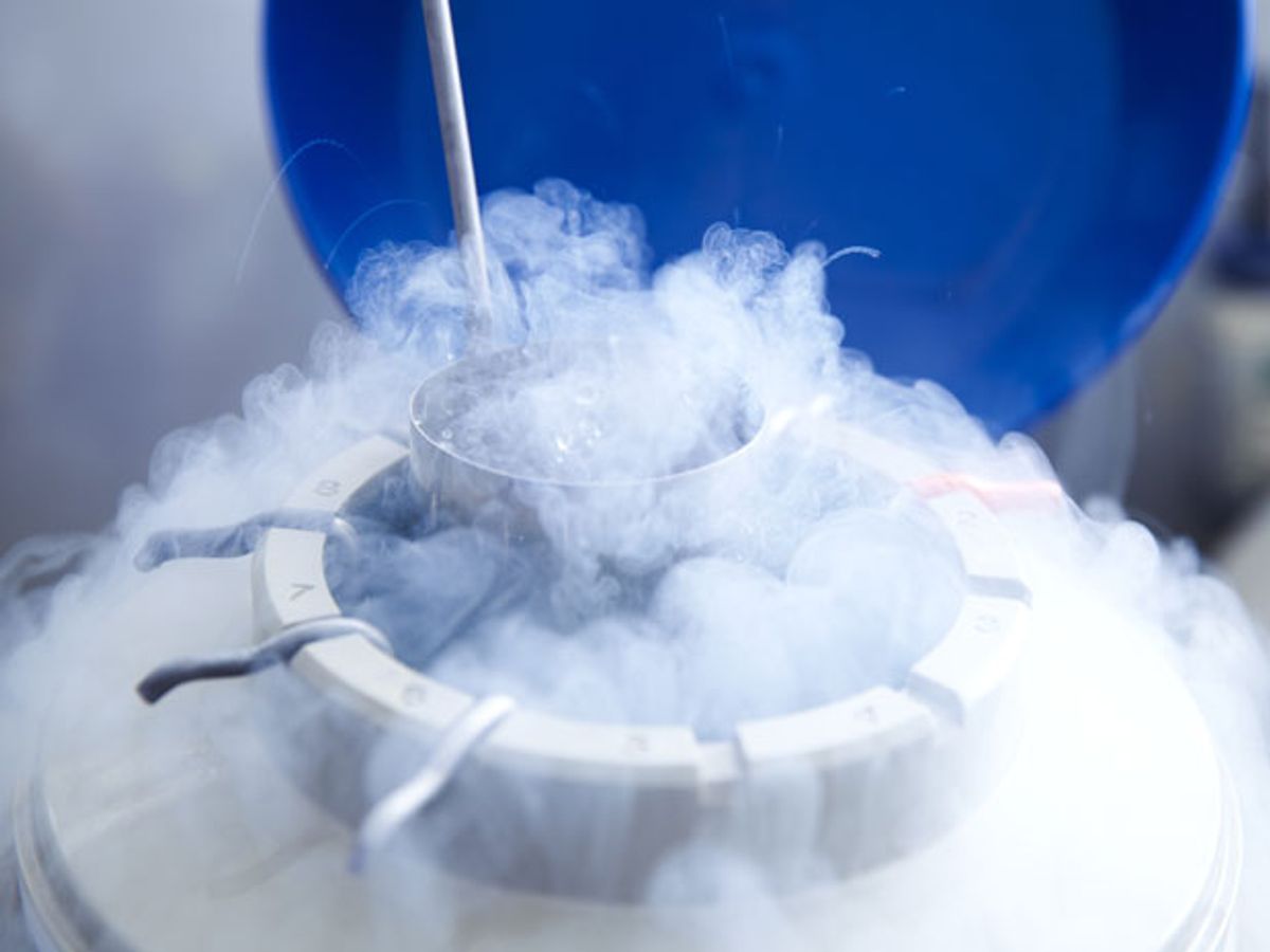 Egg-Freezing Kerfuffle Puts Apple and Facebook in the Hot Seat