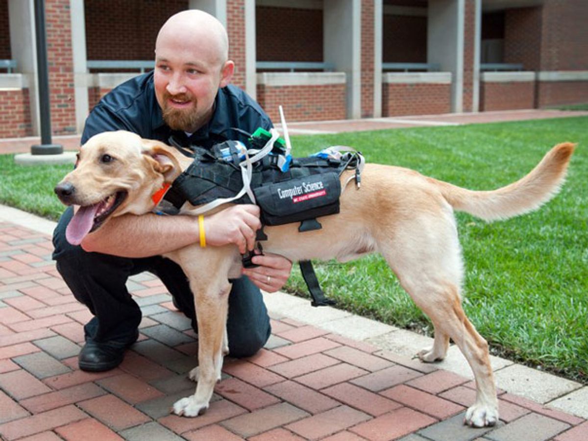 Body Sensors Help Dogs 'Talk' to Humans
