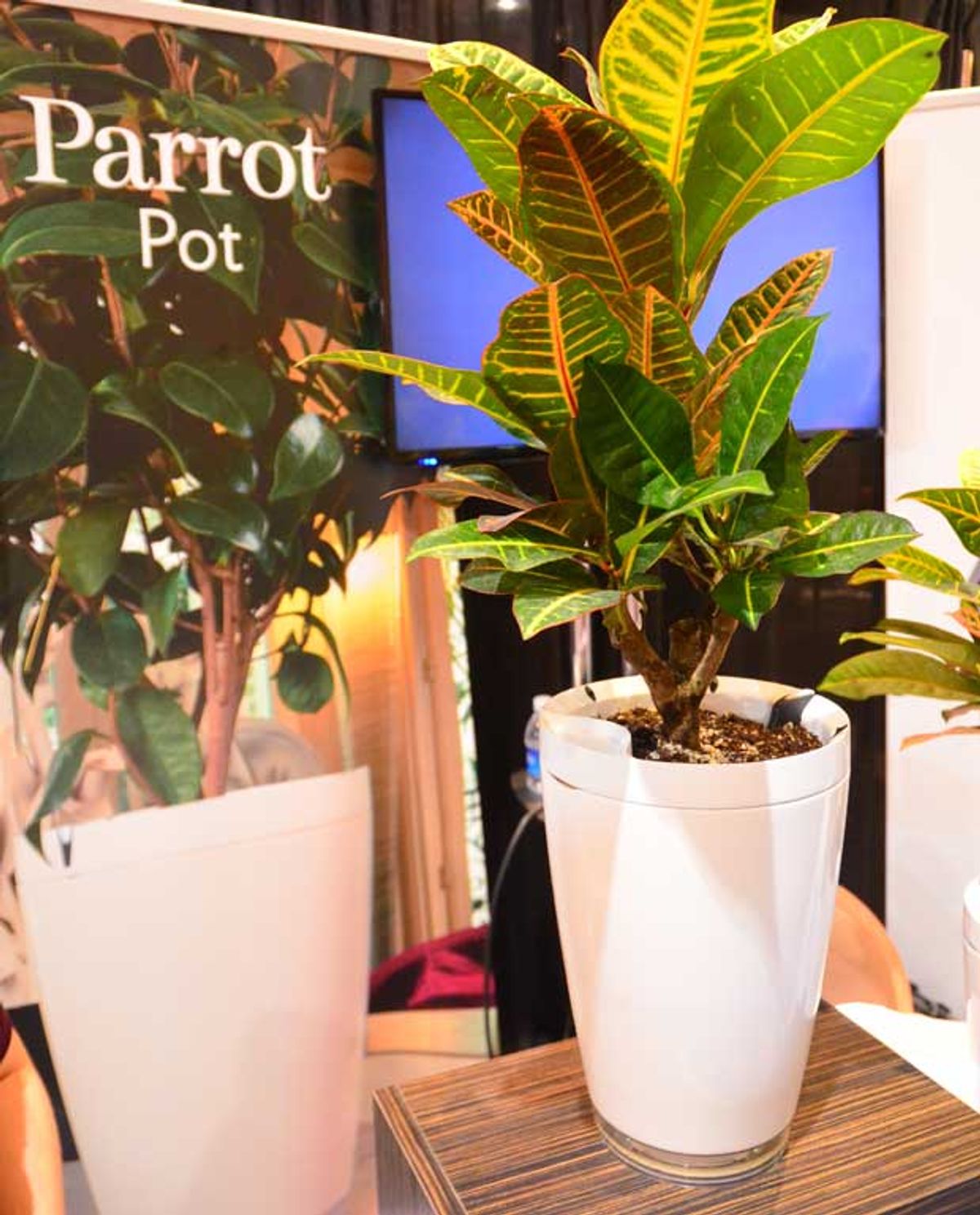 Parrot Pot and H2O Try to Make It Impossible for Anyone to Kill Plants, Even You