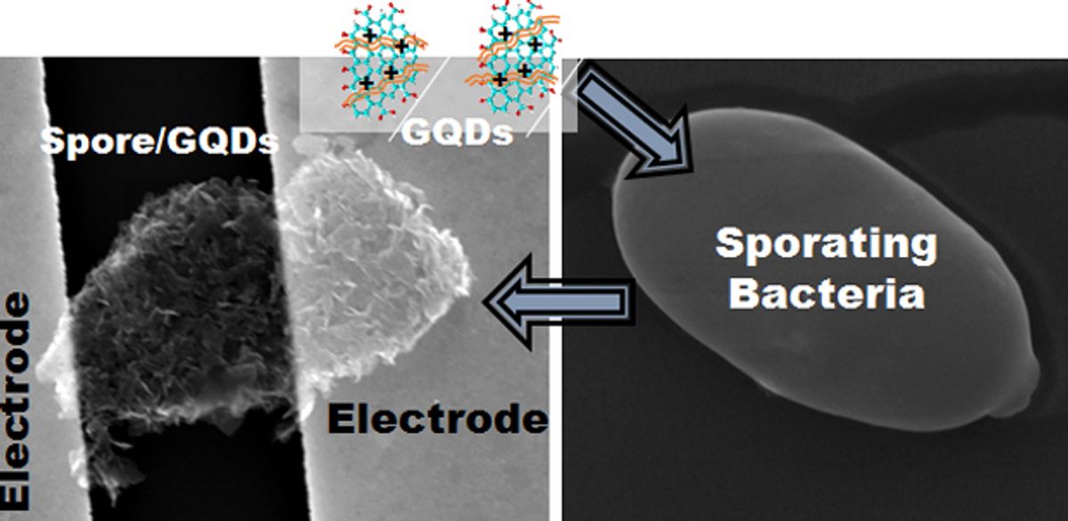 "Robogerms" Spawned by Combo of Graphene and Bacterial Spores