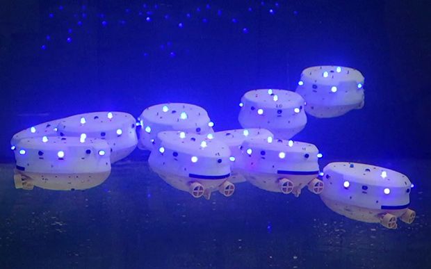 World's Largest Swarm of Miniature Robot Submarines