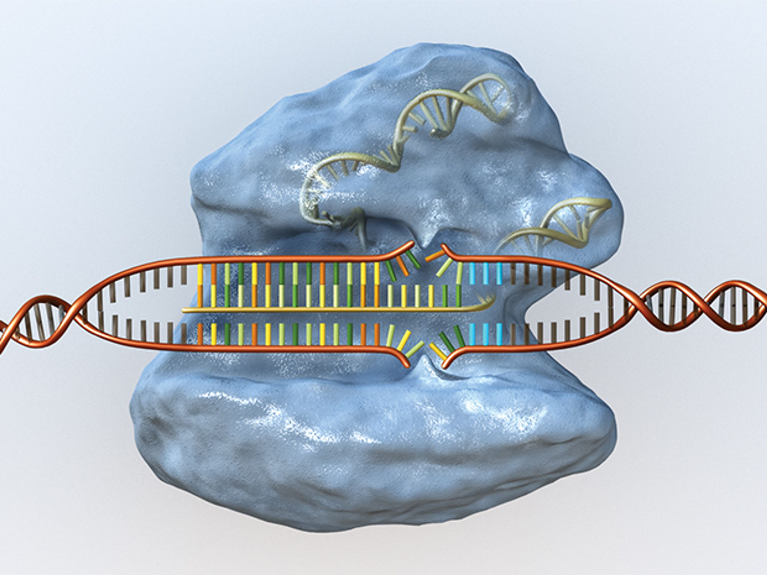 Software Helps Gene Editing Tool CRISPR Live Up to Its Hype