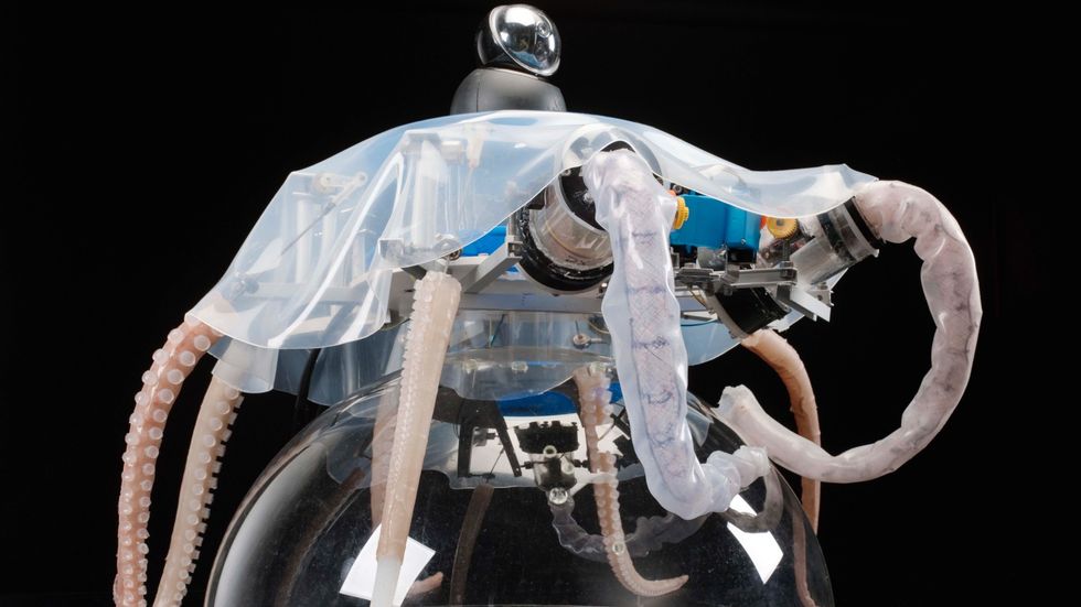 Octopus-Inspired Robots Can Grasp, Crawl, and Swim