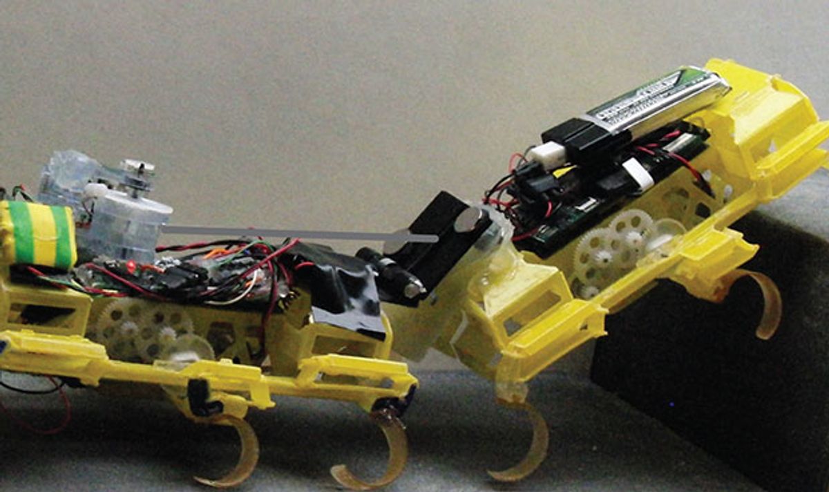 Robot Roaches With Tiny Magnetic Winch Cooperate to Scale Steps