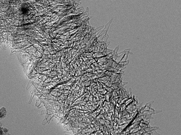 Microscope image of a carbon nanobrush