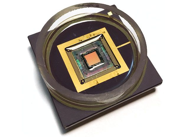 A nanoelectrode array and its CMOS control chip sit at the bottom of a shallow well where a network of cells will grow.