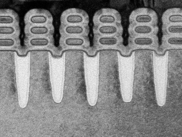 An electron microscope image resembles a dental x-ray. Within each 'tooth' are three horizontal stripes.