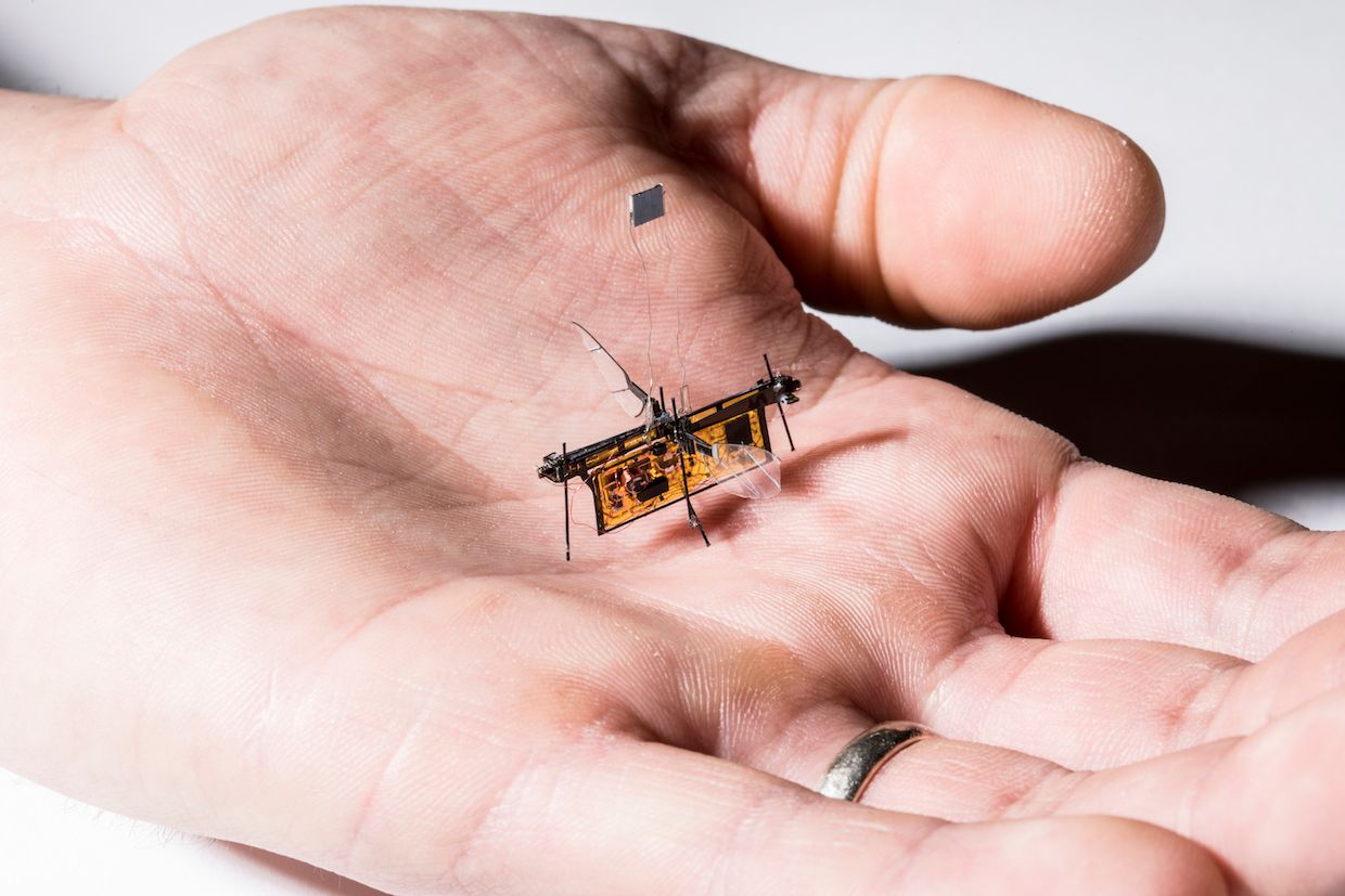 Pump De er vinde Laser-Powered Robot Insect Achieves Lift-Off - IEEE Spectrum