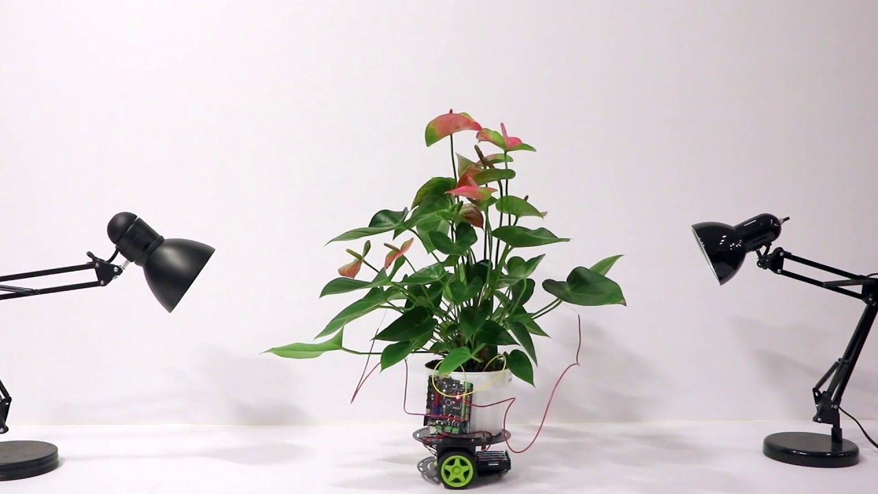 MIT Media Lab plant robot cyborg