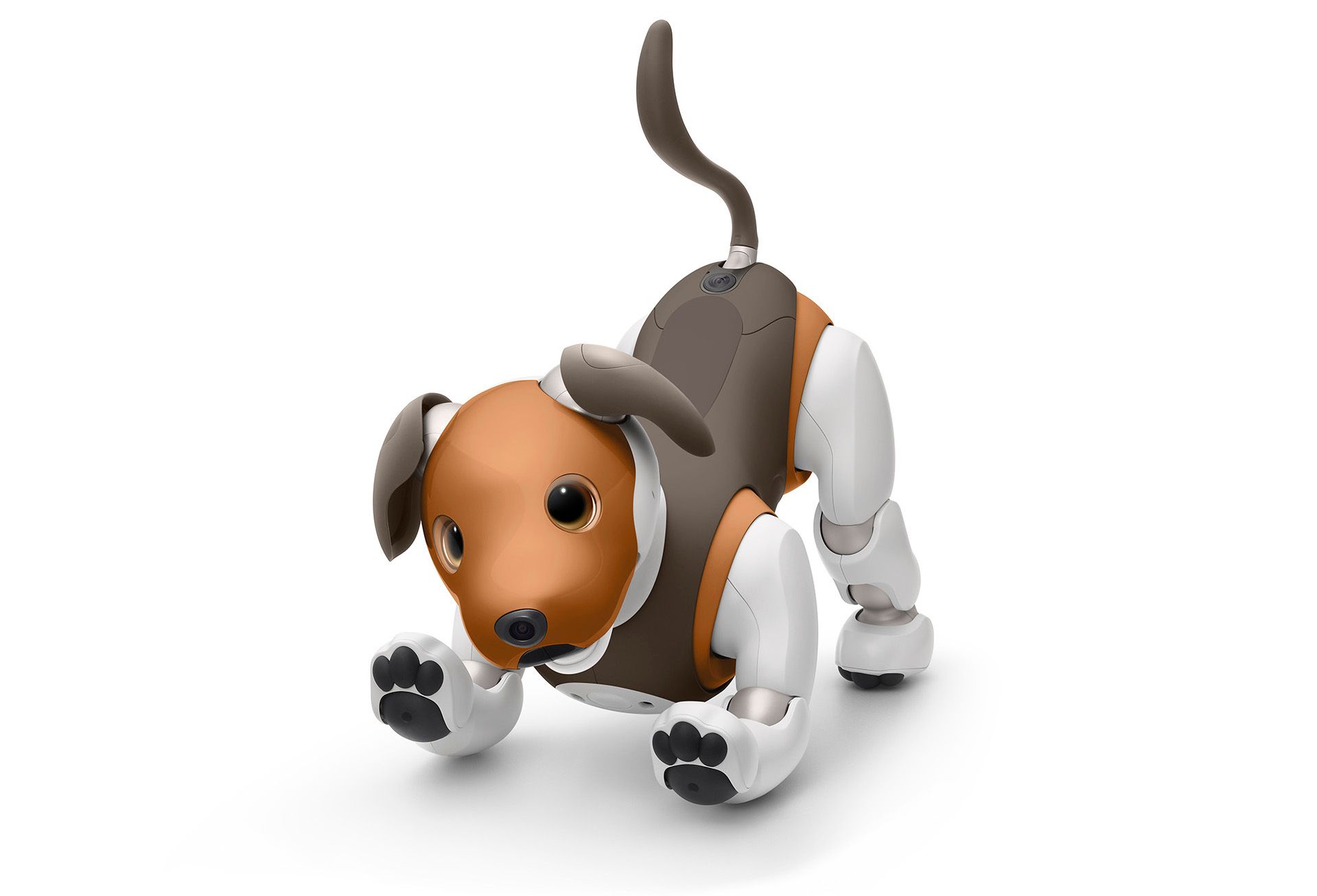 Sony Upgrading Aibo With New Home Security Features Api Access Ieee Spectrum