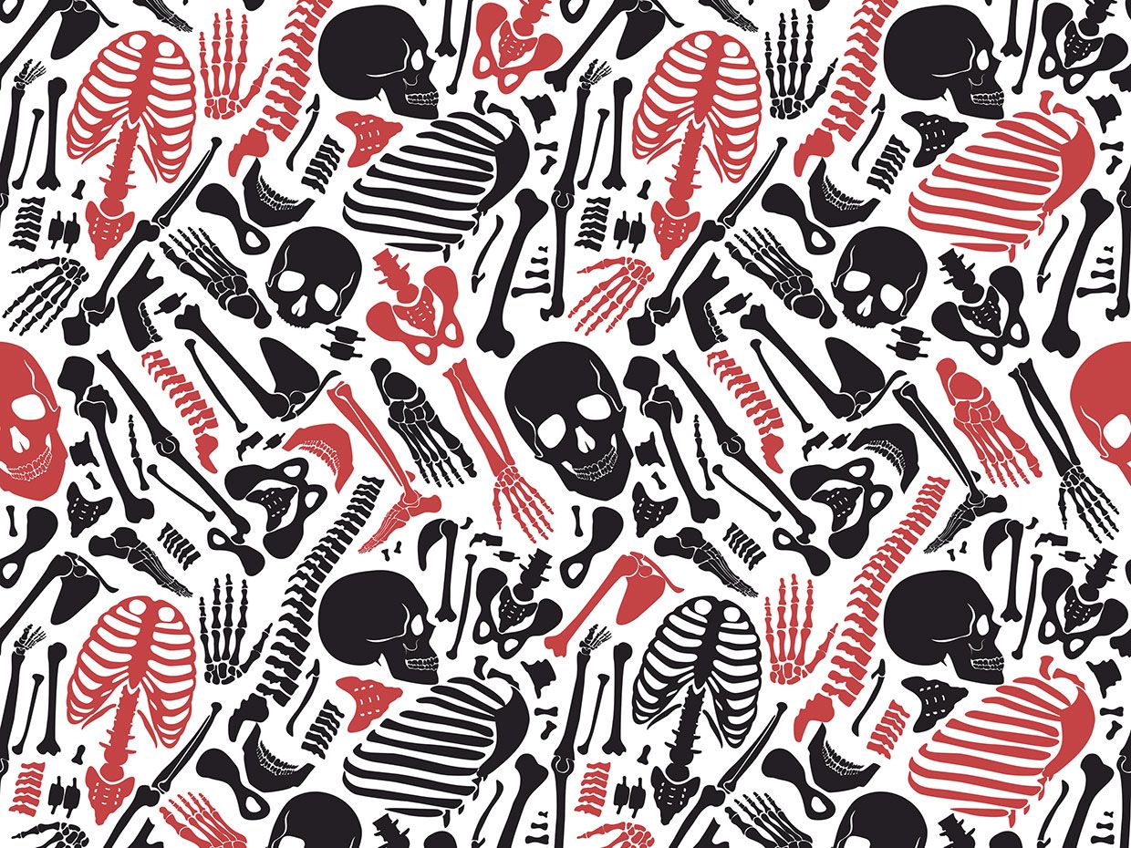 An illustration shows skeleton parts in black and red on a white background.