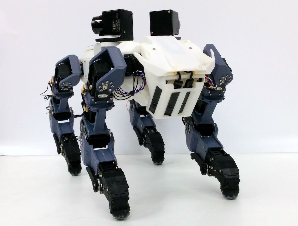 This robot dog can scale ladders