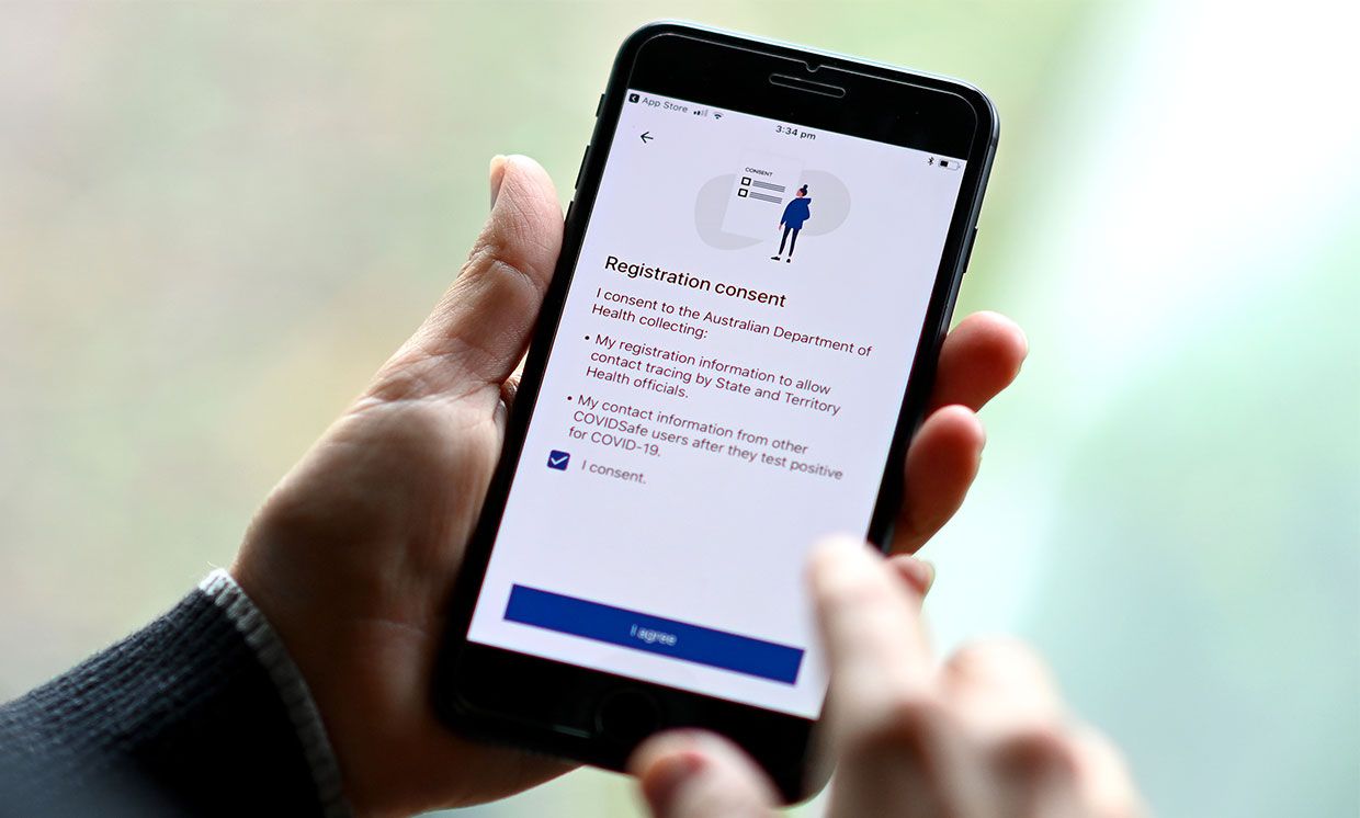 Photograph of a person holding a phone with the COVIDSafe app