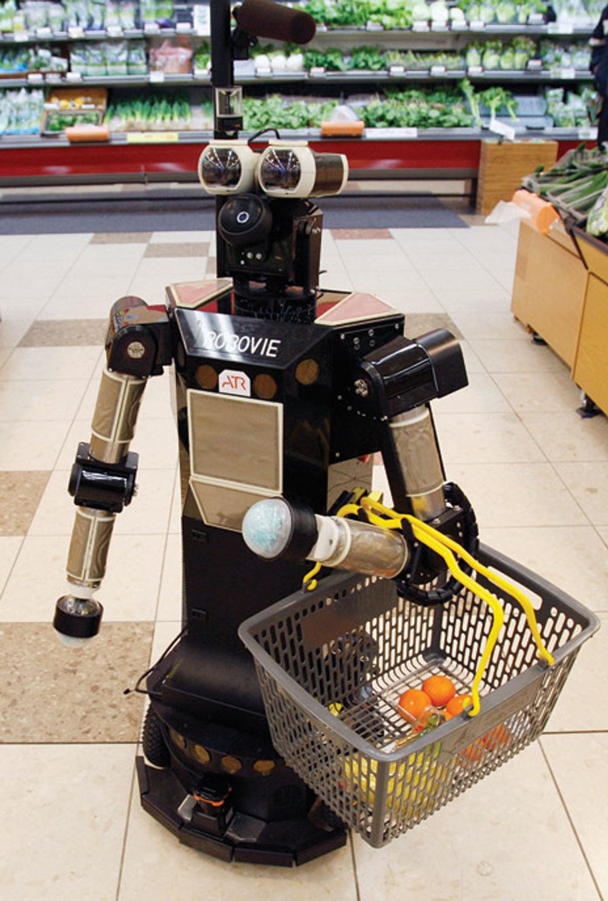 A Robot in the Kitchen