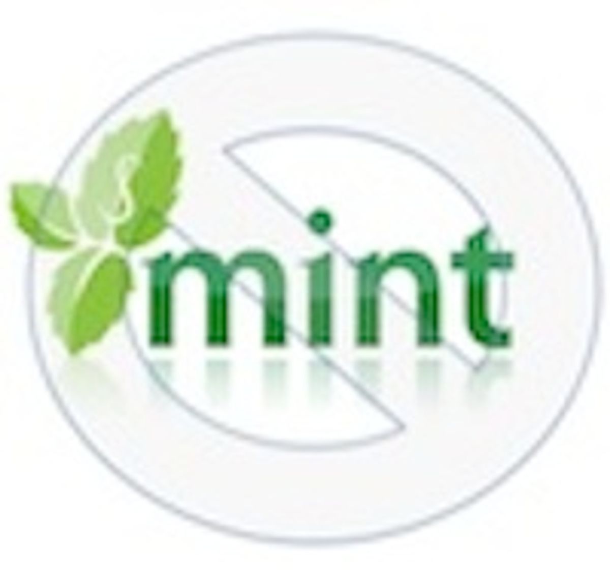 Why Mint Doesn't Measure Up