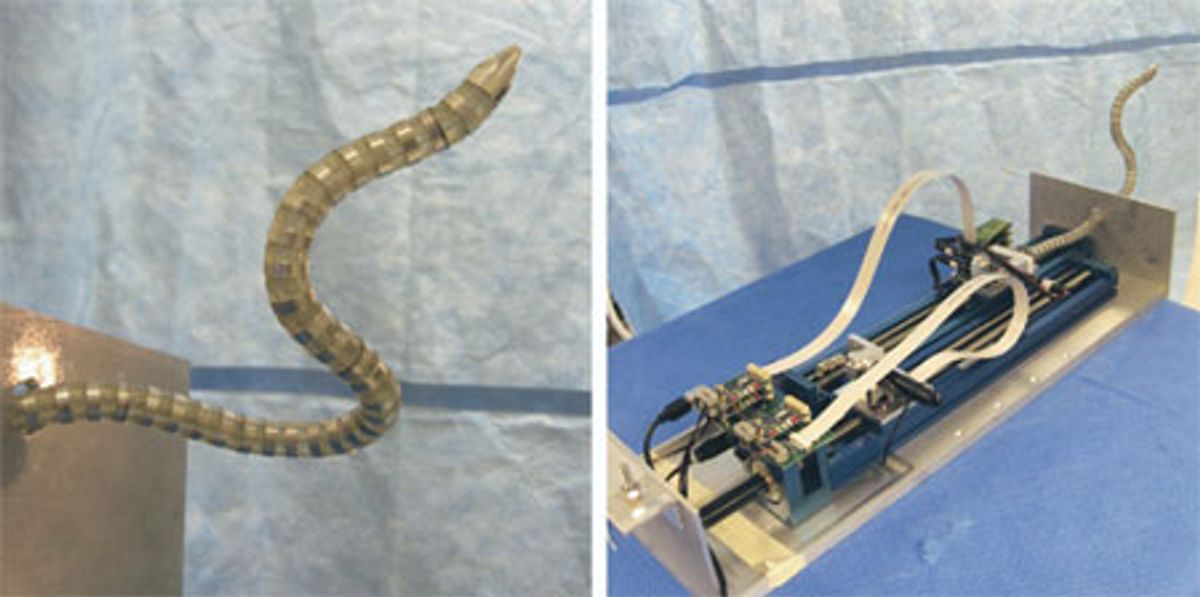 Snakebot Worms Its Way Into Your Heart, Literally