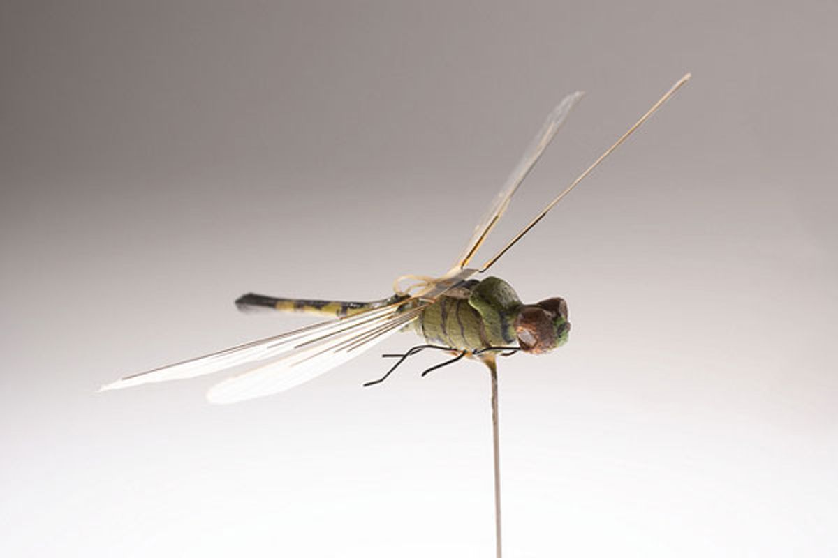 This Robotic Dragonfly Flew 40 Years Ago