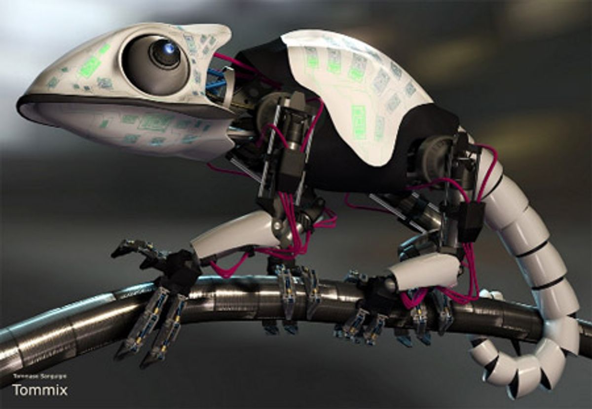 Japanese Researchers Developing Robotic Chameleon, Tongue First