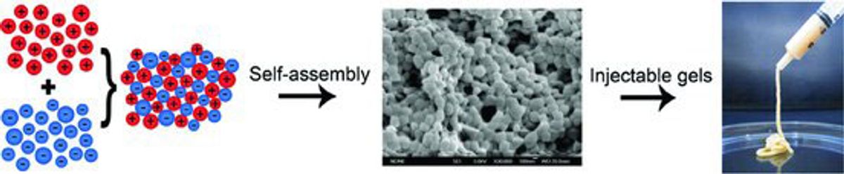 Gelatin Nanospheres Serve as Building Blocks for Tissue Regenerative Gels