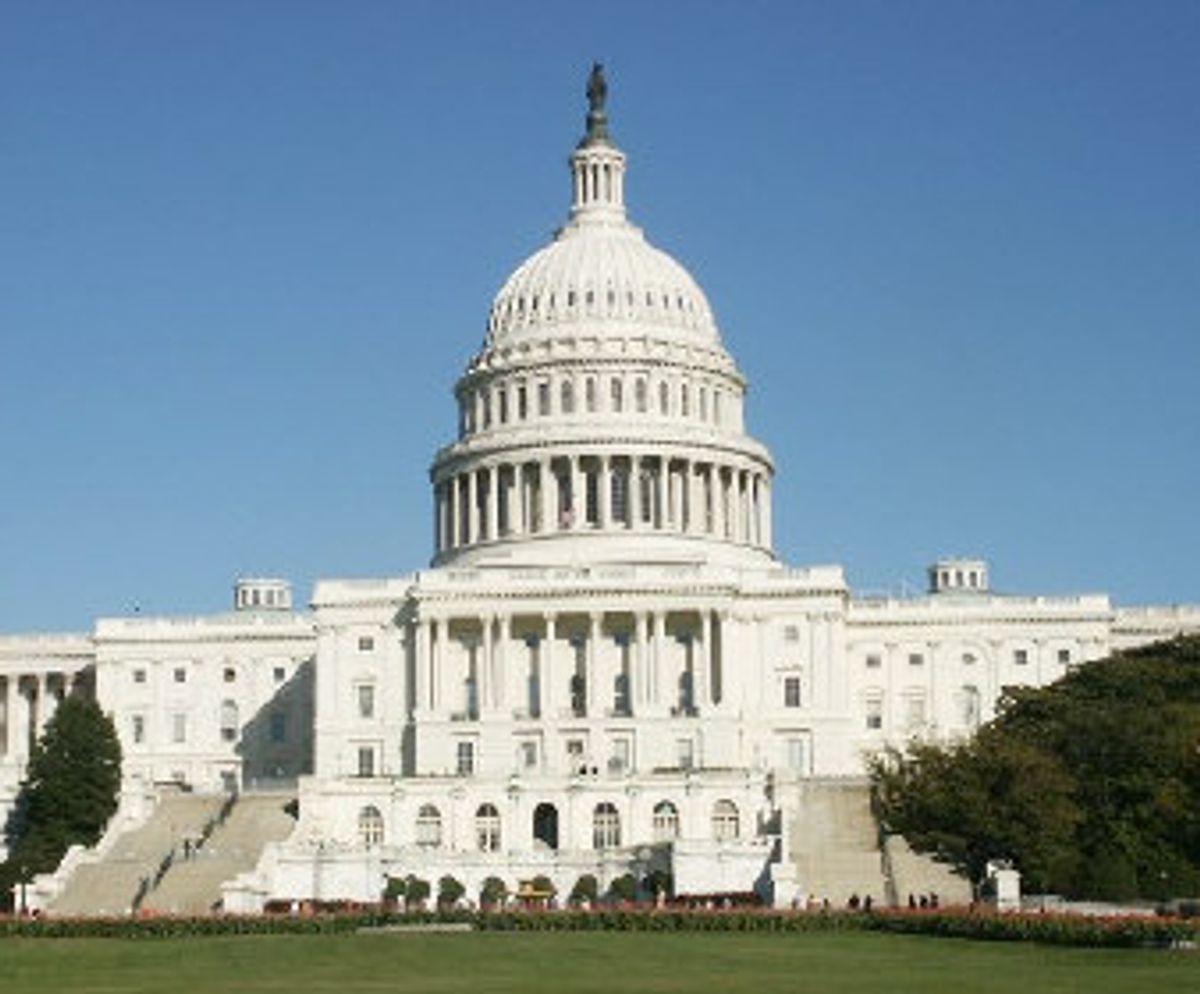 Will the US Congress Reauthorize the National Nanotechnology Initiative?