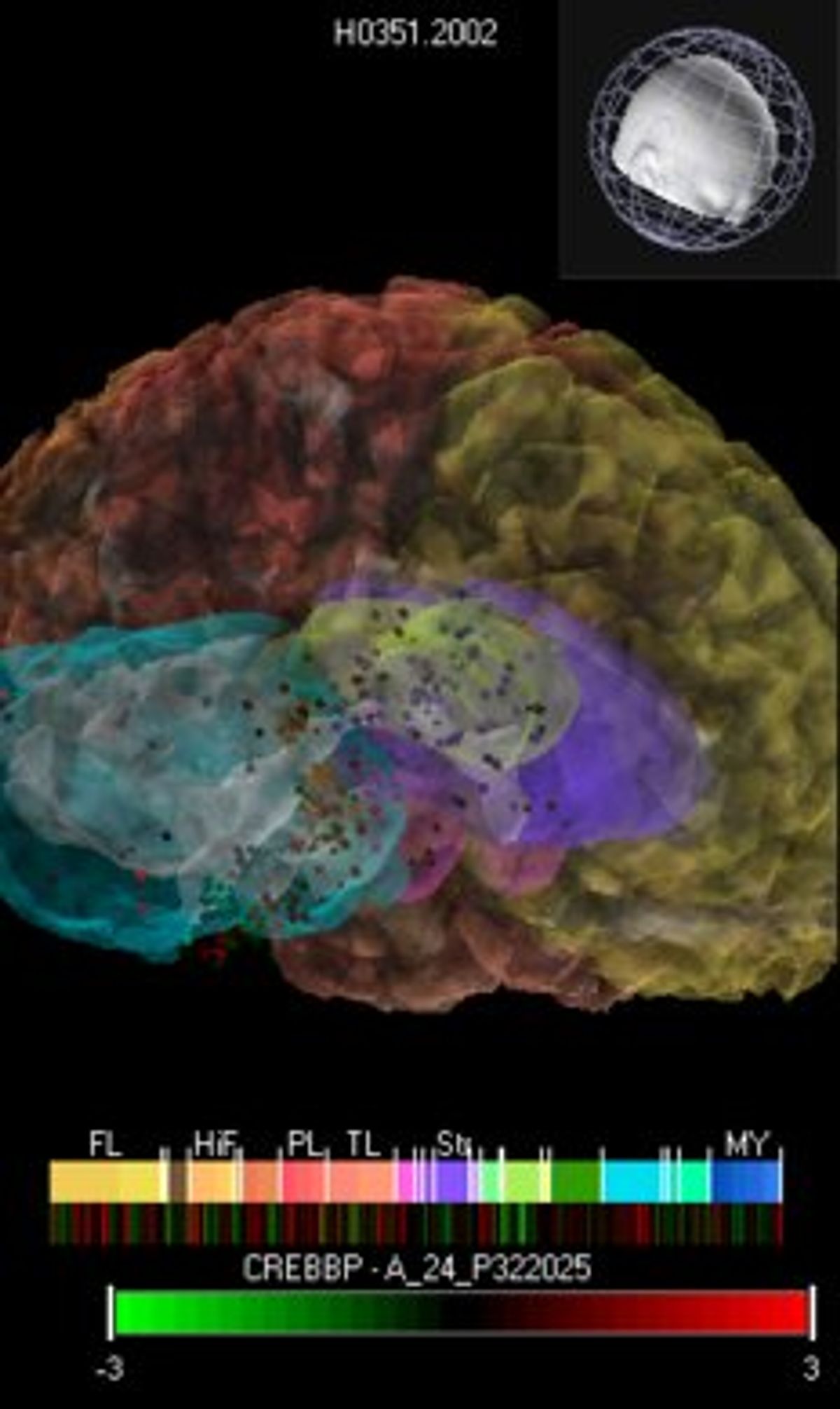 Testing Out the Allen Human Brain Atlas