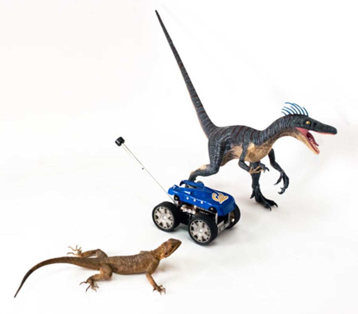 Dinosaur-Like Tails Make Terrestrial Mobile Robots More Agile