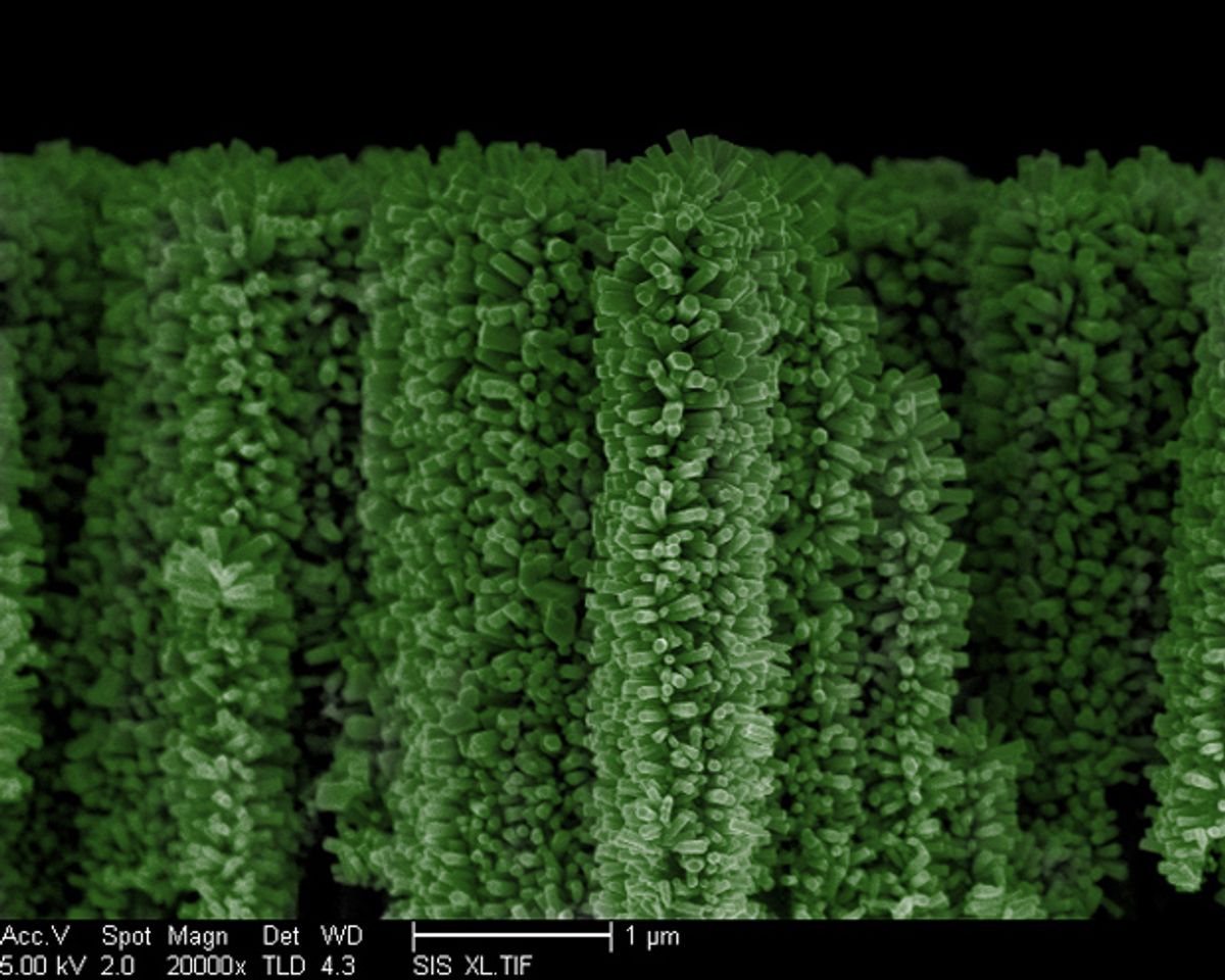 Nanowire Forest Splits Water with Sunlight