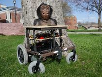 RoboBonobo: Giving Apes Control of Their Own Robot
