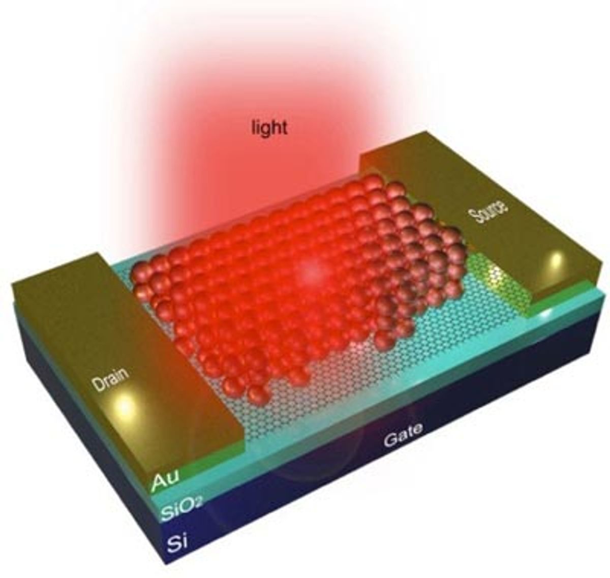 Graphene Combined with Quantum Dots Result in Efficient Photodetector