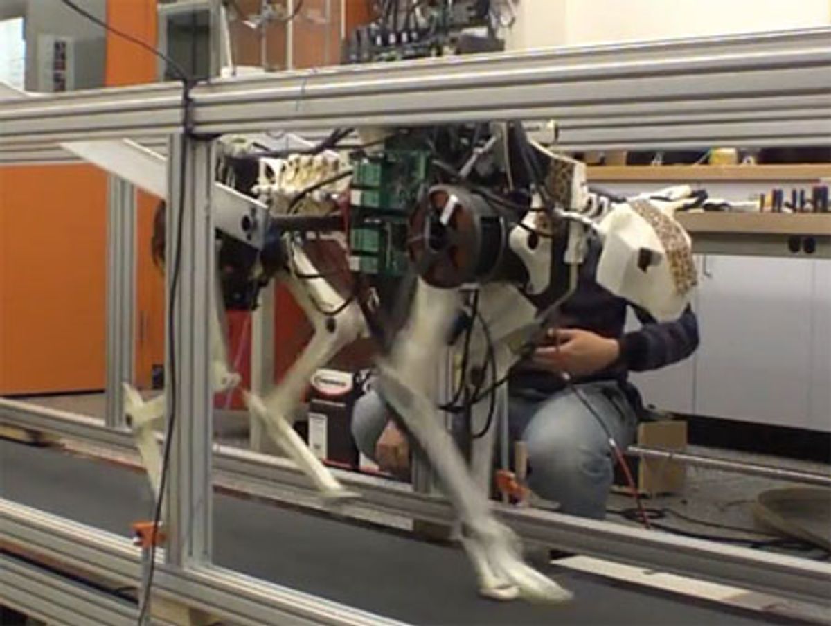 Video Friday: Robo Cheetah Goes for a Trot, Mind-Controlled Arms, and Robots Playing Football