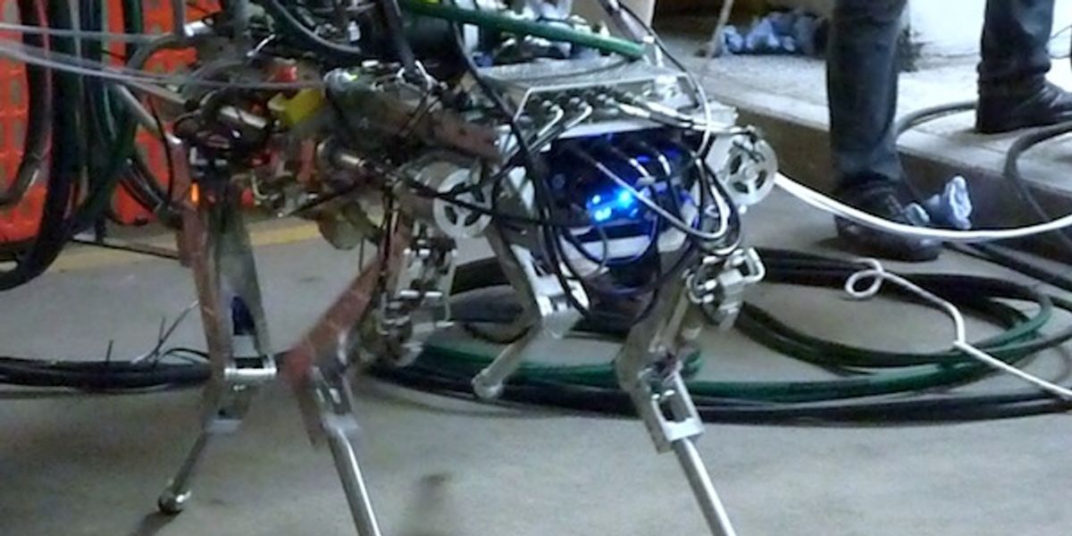 Italian Quadruped Robot Goes for a Walk