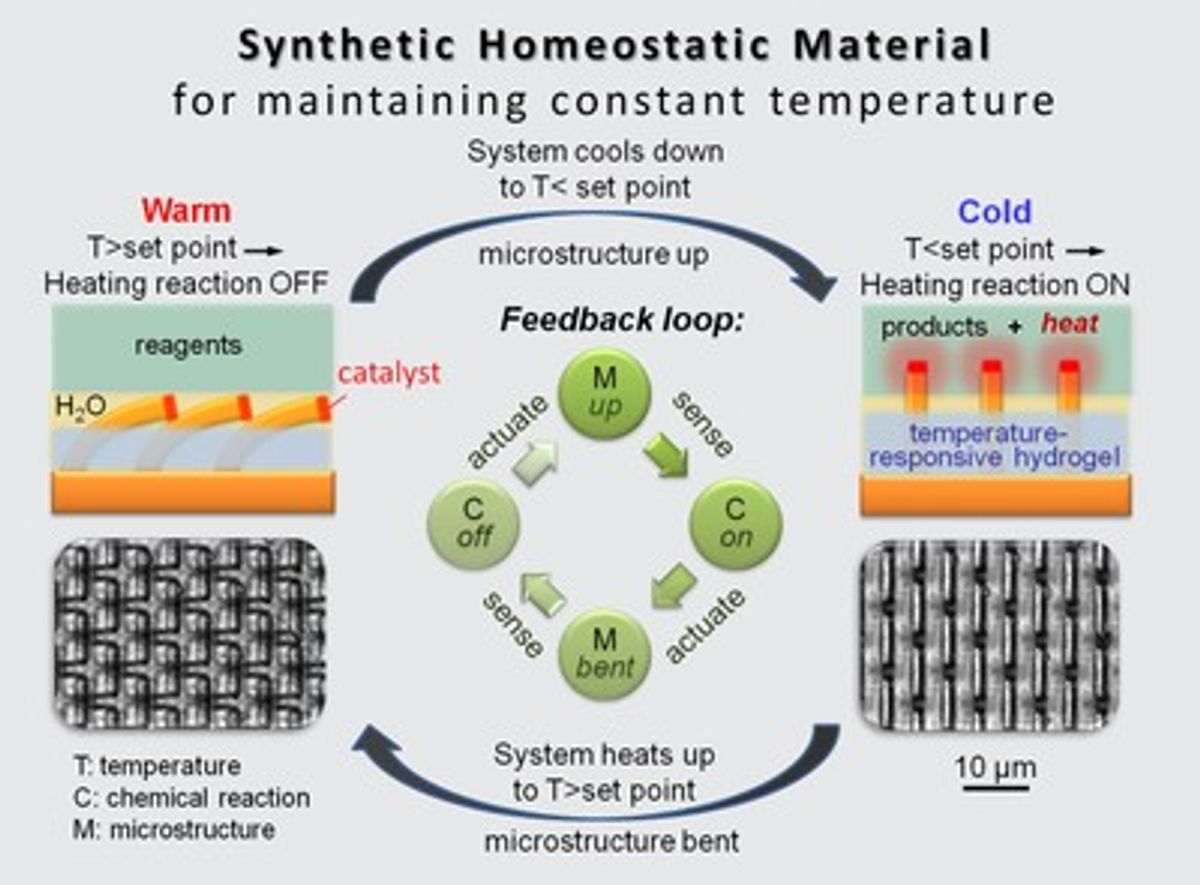 Nanomaterial Duplicates Self-Regulation of Living Organisms