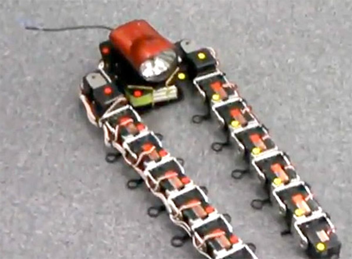 Custom Japanese Hobby Robot Somersaults with Servo Tentacles