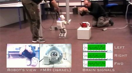 fMRI Reads Thoughts In Real Time to Remotely Control Robot