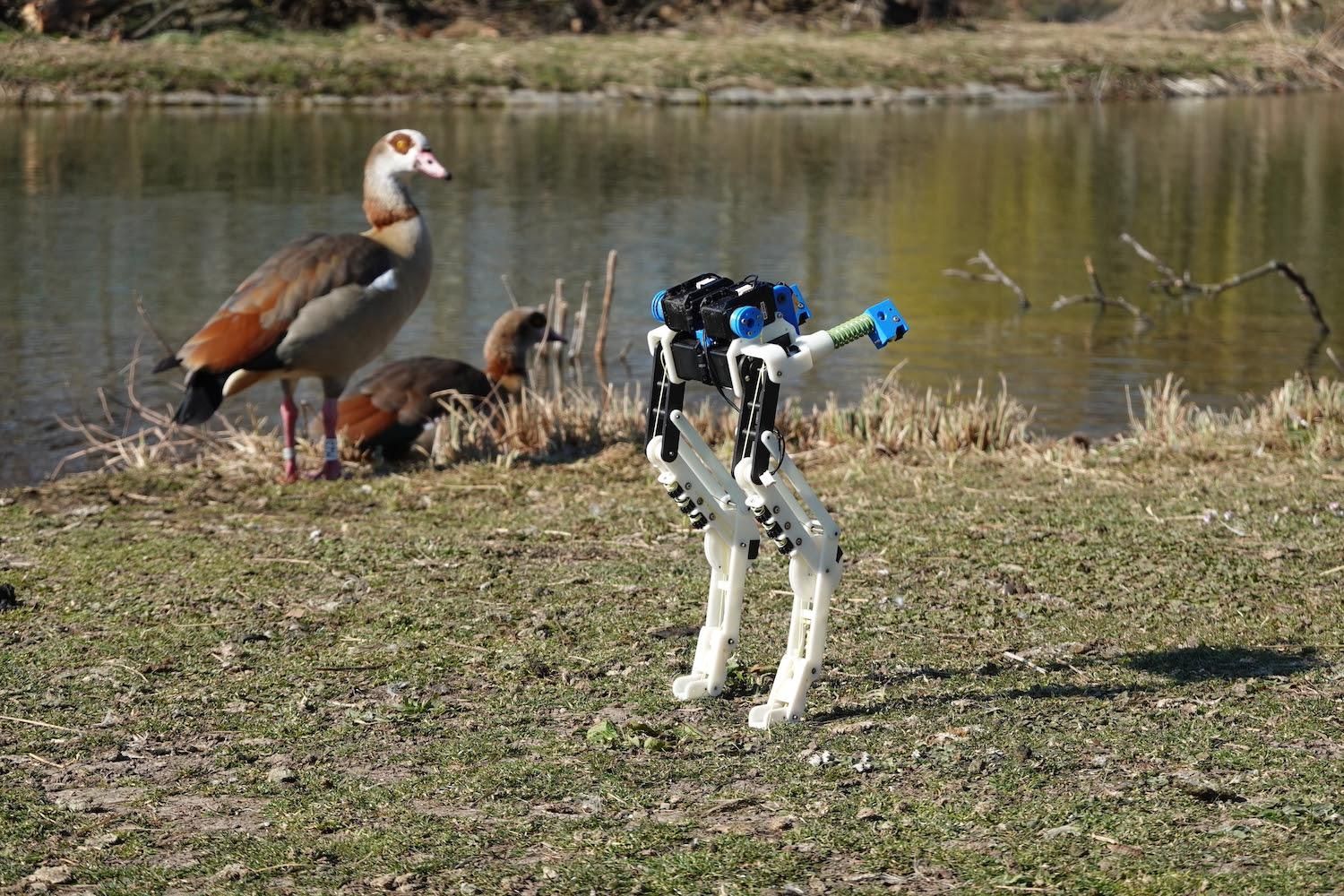 Robotic bird legs stand in a grassy field with two ducks and a lake in the background