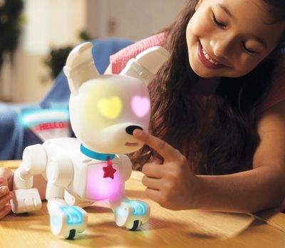 Picture of a small colorful robot dog with wheels for feet with its nose being booped by a young girl