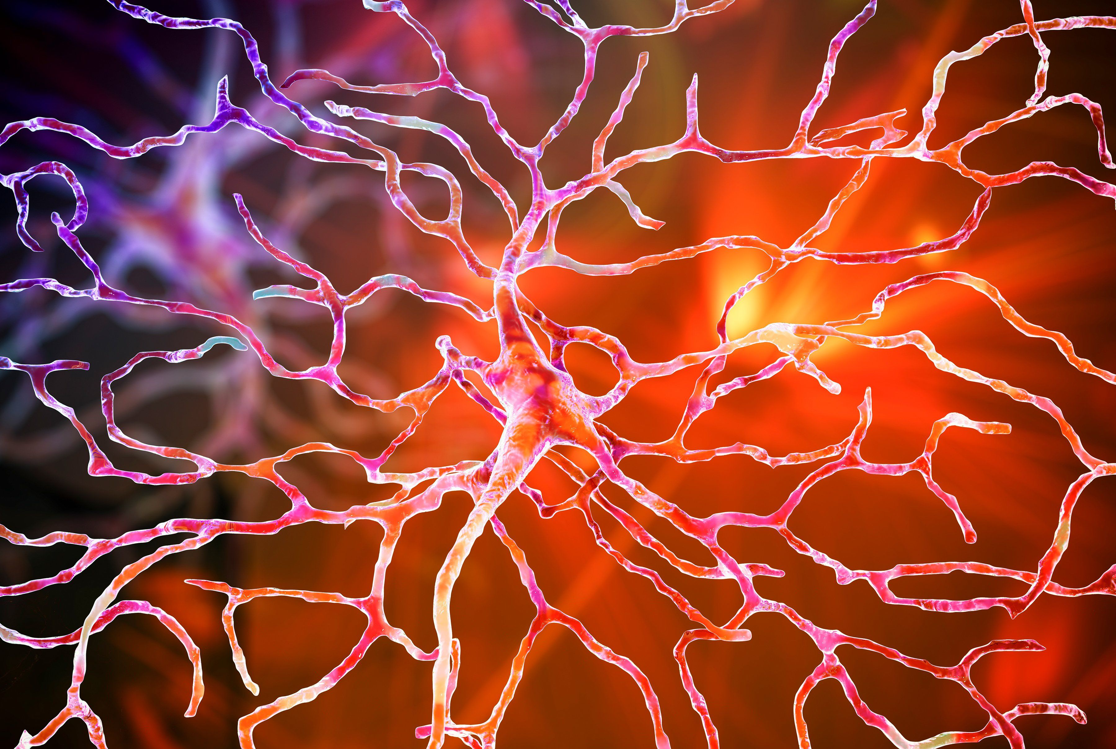 An illustration of a retinal neuron, showing a web of connections.
