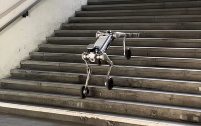 A silver four legged robot with wheels for feet drives down a flight of concrete stairs outside.
